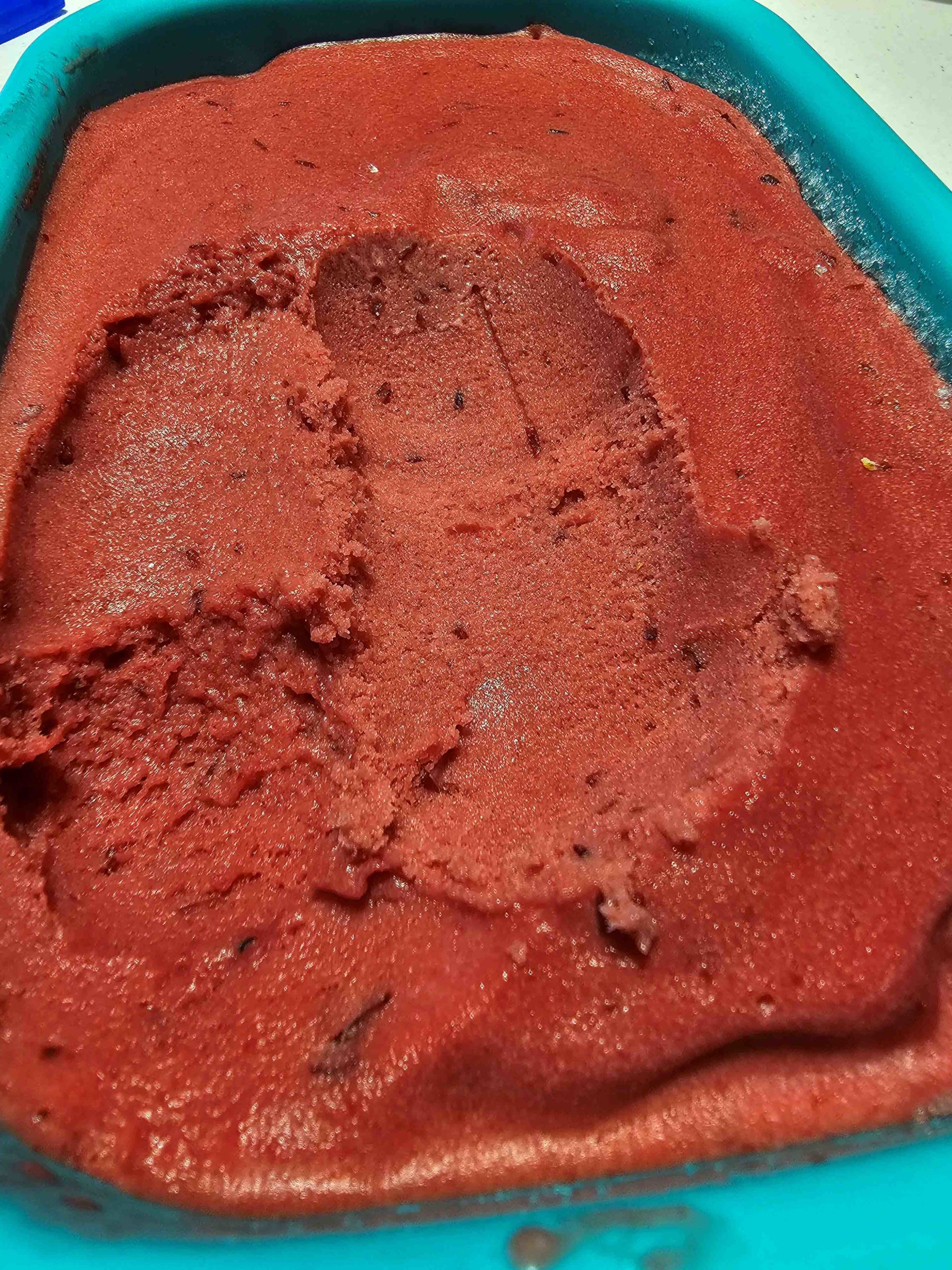 Plum ice cream Tasty Treats